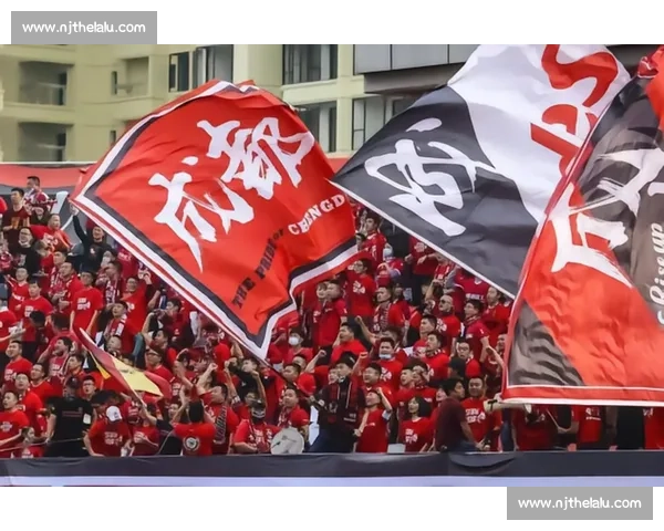 成都蓉城严斥球迷恶意涂鸦 承诺依规重罚维护赛事文明